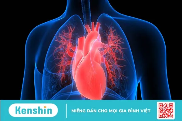 Biến chứng suy tim: Làm sao để ngăn ngừa?