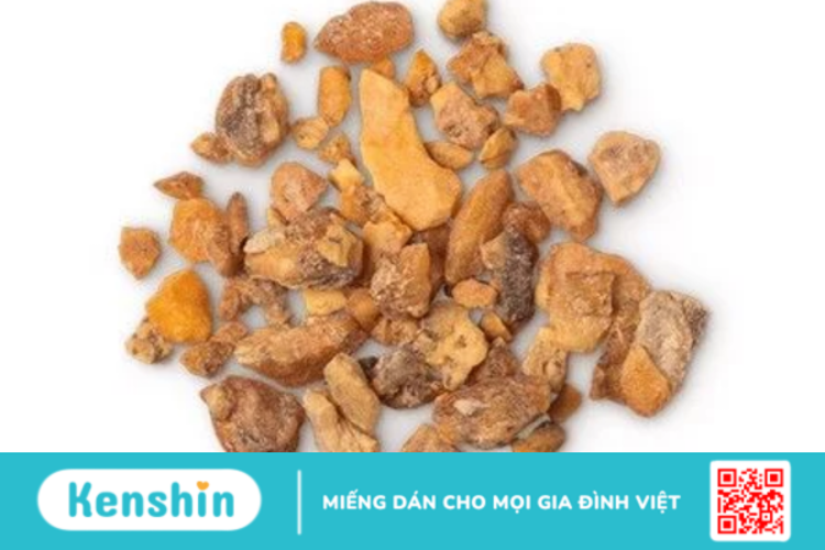 Bồ đề nhựa (Benzoin) là gì ? dùng để làm gì ?