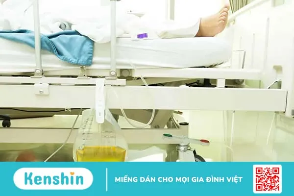 Dẫn lưu bàng quang trên xương mu là gì? Quy trình thực hiện và những lưu ý