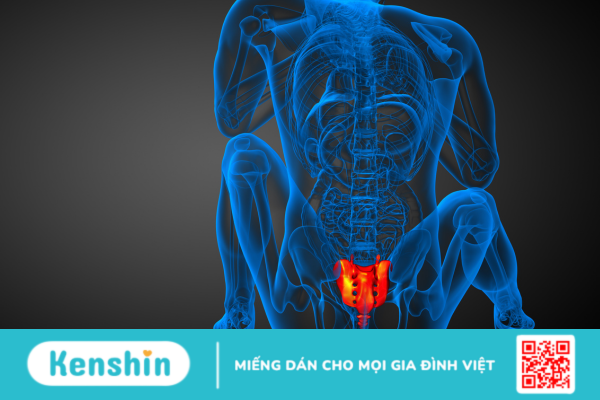 Những nguy cơ gây ra tình trạng gãy xương cụt