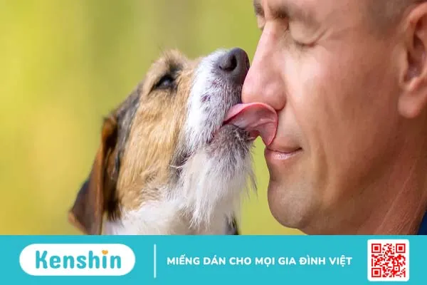 Giải mã hành động liếm của cún cưng