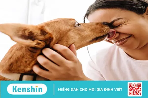 Giải mã hành động liếm của cún cưng