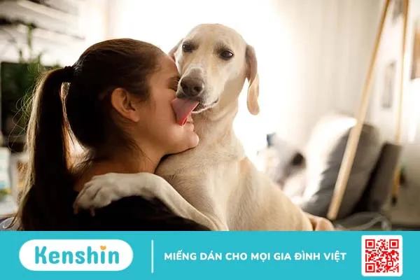 Giải mã hành động liếm của cún cưng