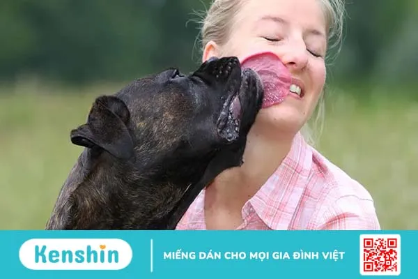 Giải mã hành động liếm của cún cưng