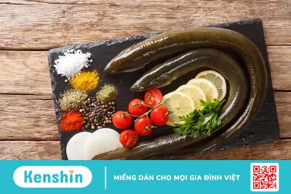 Lươn nấu gì cho bé? 12 cách nấu cháo lươn cho bé ăn dặm ngon bổ khỏe