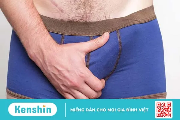 Nên để cậu nhỏ hướng lên hay xuống khi mặc quần lót?