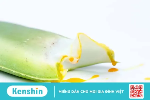 Nha đam (lô hội): 10 công dụng khỏe đẹp toàn diện