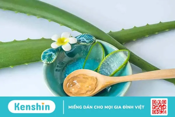 Nha đam (lô hội): 10 công dụng khỏe đẹp toàn diện