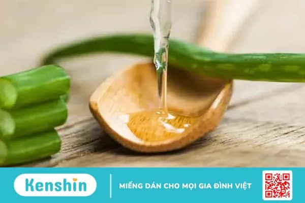 Nha đam (lô hội): 10 công dụng khỏe đẹp toàn diện