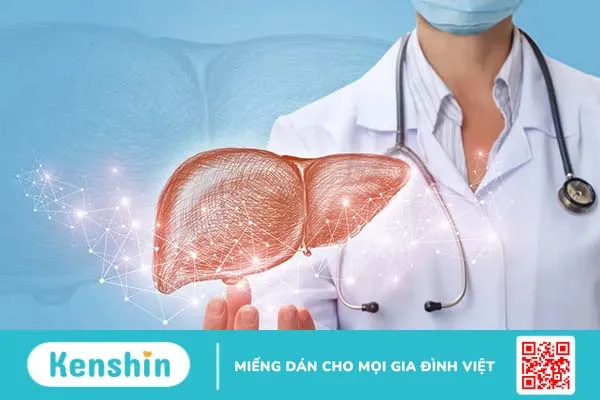 Nha đam (lô hội): 10 công dụng khỏe đẹp toàn diện