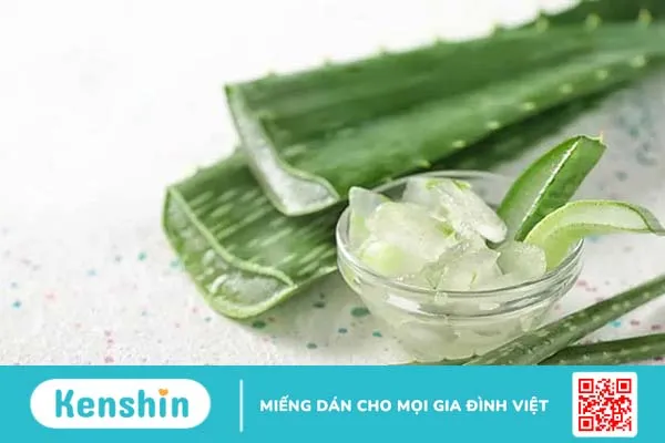 Nha đam (lô hội): 10 công dụng khỏe đẹp toàn diện