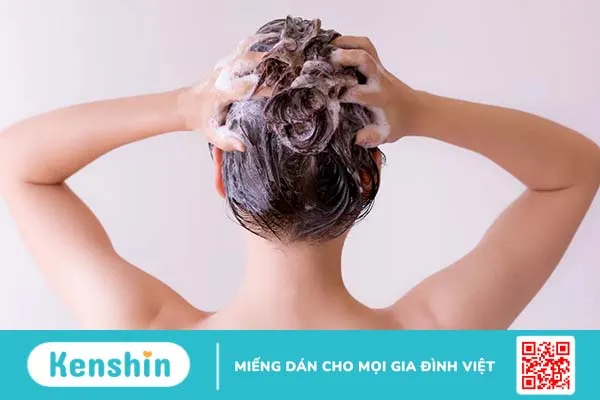 Review dầu gội trị gàu được nhiều người tìm kiếm: 6 nhãn hiệu bạn không nên bỏ qua