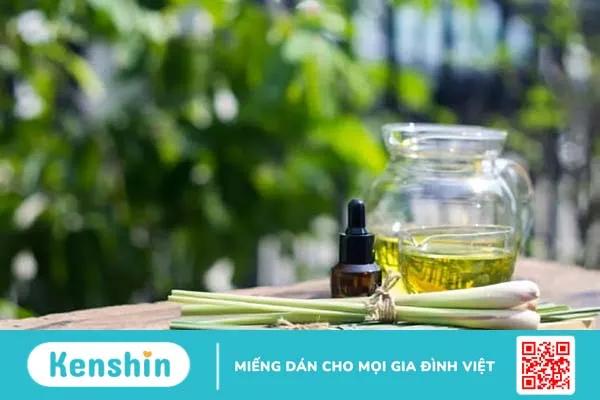 Tác dụng của sả đối với bà bầu và những lưu ý quan trọng cần biết