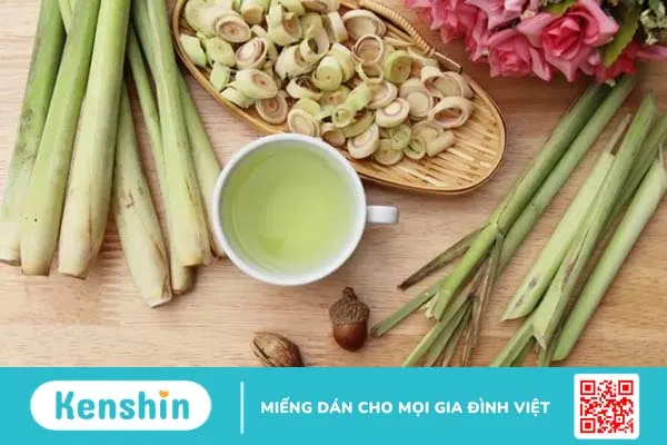 TOP 15 công dụng của sả đối với sức khỏe