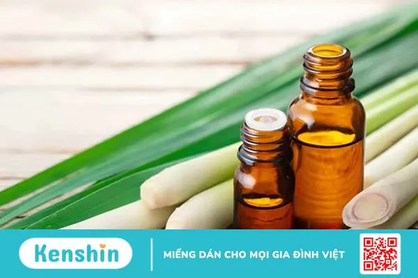 TOP 15 công dụng của sả đối với sức khỏe