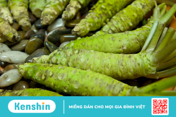 Wasabi - Những điều cần biết trước khi sử dụng