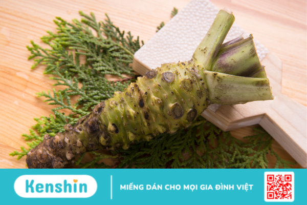 Wasabi - Những điều cần biết trước khi sử dụng